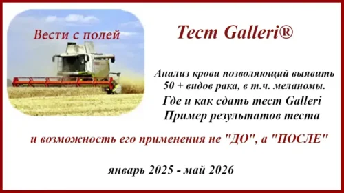 Тест Galleri - анализ крови для выявления онкологии. Где и как сдать тест, сколько стоит тест Galleri. Пример итогов теста