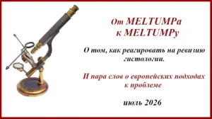 MELTUMP