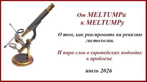 MELTUMP