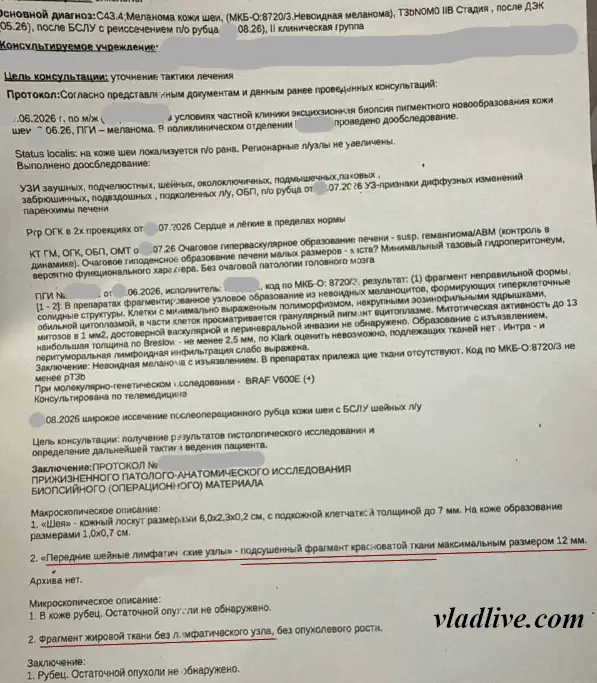 Жировая ткань без лимфоузла
